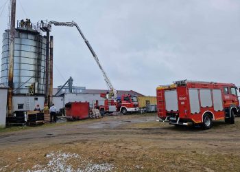 6 godzin gasili pożar w Piotrowicach