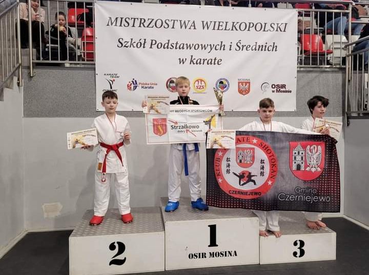 Mistrzowskie występy naszych karateków