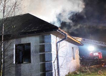 Ponad 60 strażaków walczyło z ogniem