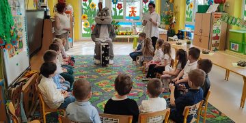 Gromowy królik w Misiu