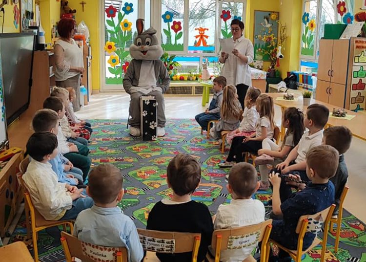 Gromowy królik w Misiu