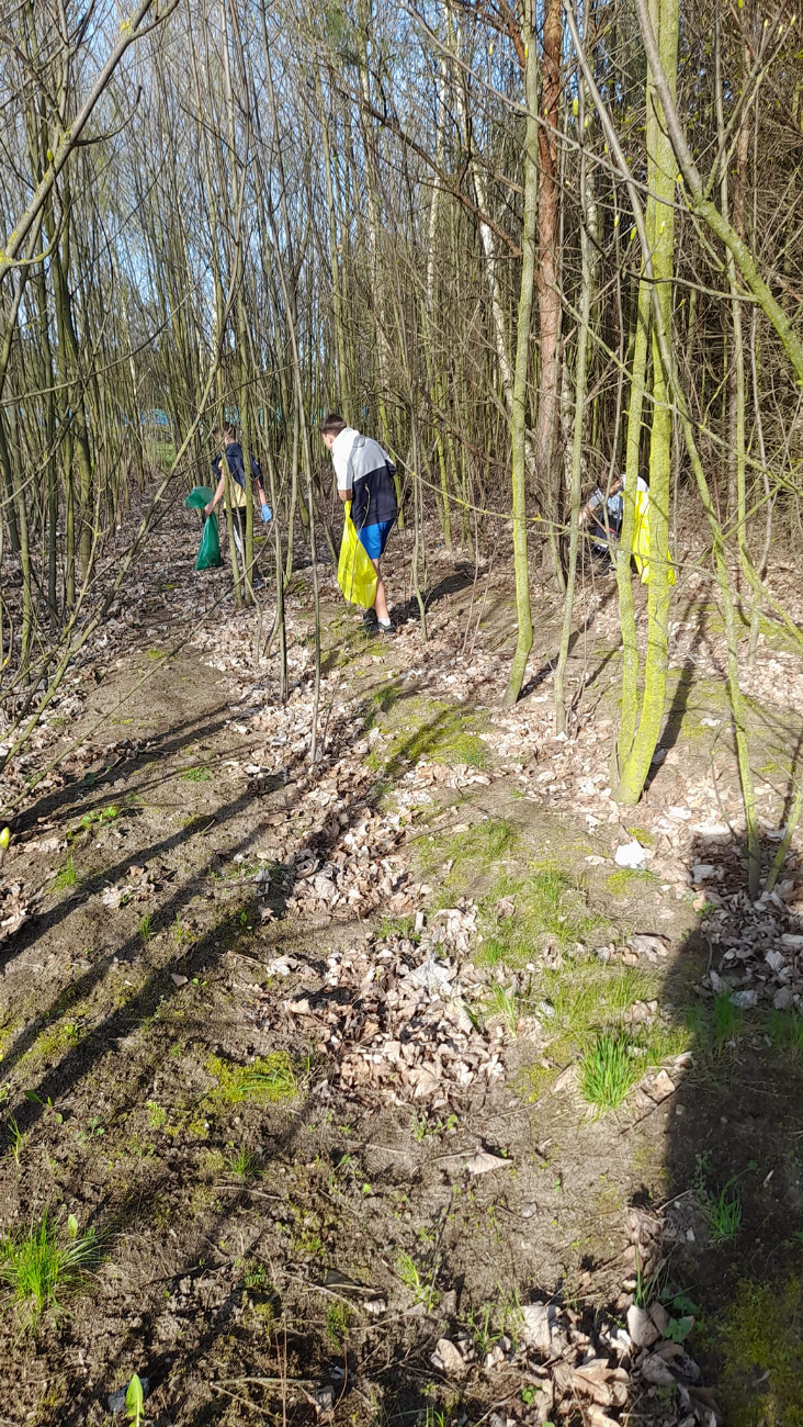 Świetna akcja w sołectwie. Zobacz zdjęcia