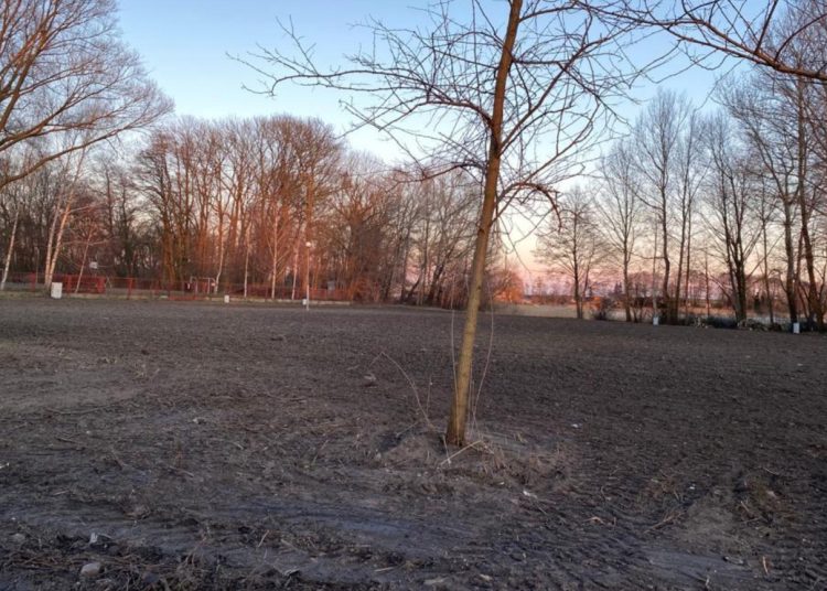 Będzie nowe pole namiotowe nad Jeziorem Powidzkim