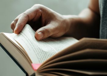 Czy warto przeczytać książkę Maxima Culpa?