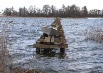 Czy pomost zagraża ptakom?