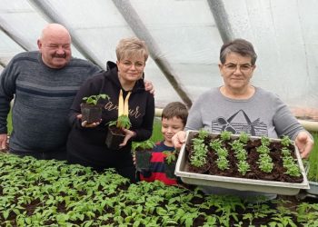 Rodzinne ogrodnictwo, które odwiedził nawet… Michał Żebrowski