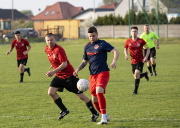 Wielkopolski Polanin