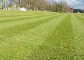 Już wygląda to dobrze!