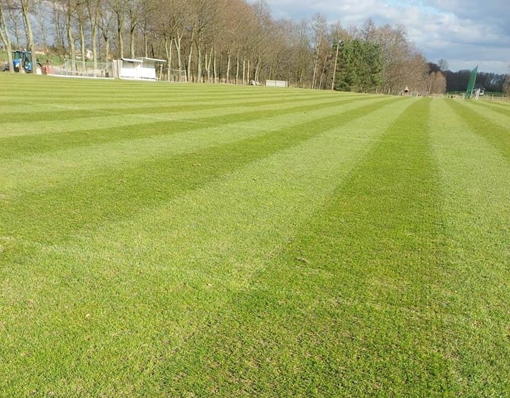 Już wygląda to dobrze!