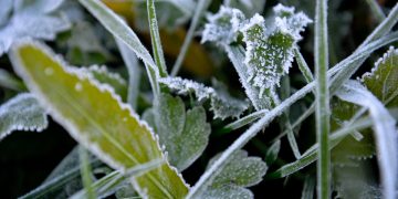 To nie koniec przymrozków. Synoptycy ostrzegają