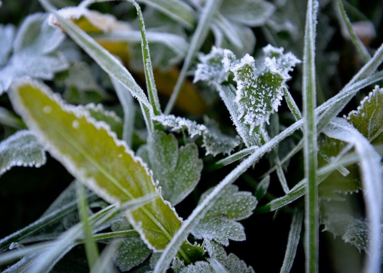 To nie koniec przymrozków. Synoptycy ostrzegają