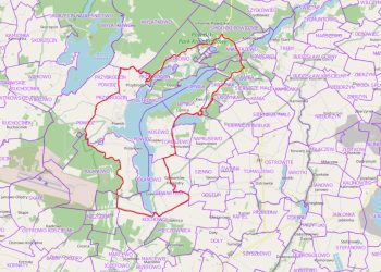 Potwierdzili ptasią grypę. Powidz strefą objętą zakażeniem
