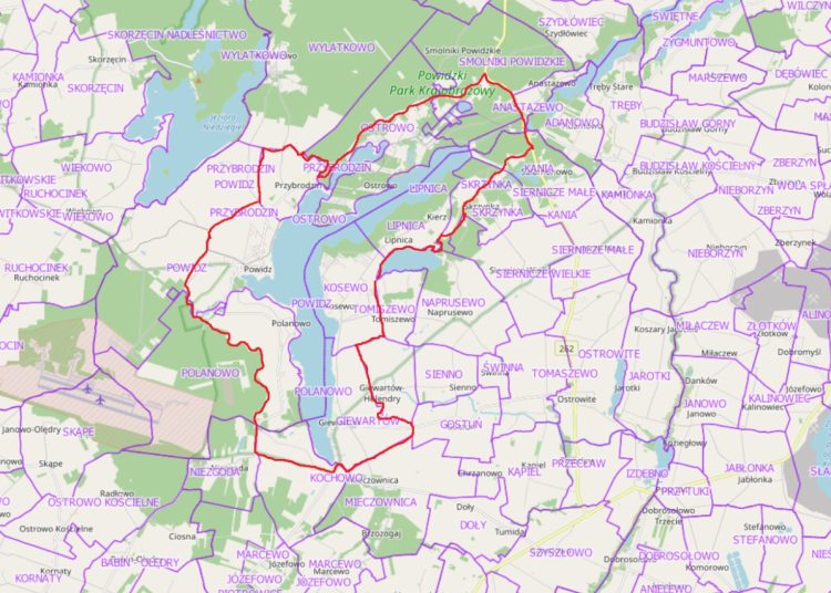 Potwierdzili ptasią grypę. Powidz strefą objętą zakażeniem