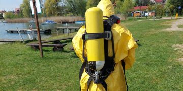 Ptaki zdychają. Plaża zagrożona?