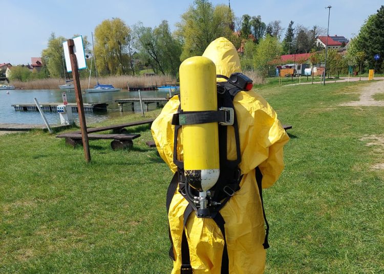 Ptaki zdychają. Plaża zagrożona?