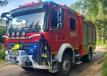 Paliło się w lesie