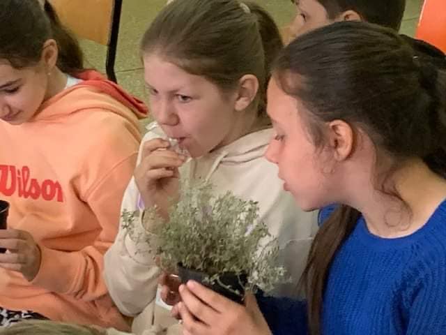 Światowy Dzień Pszczół w Drążnej