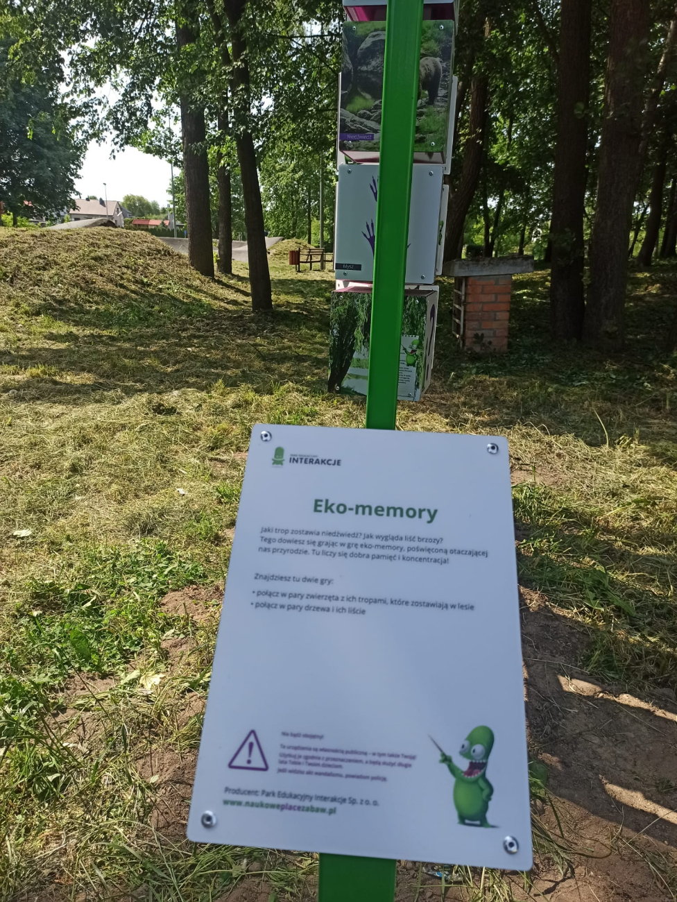 Teren obok pumptracku pięknieje. Pojawiły się…