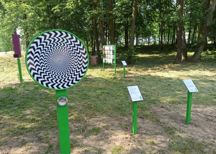 Teren obok pumptracku pięknieje. Pojawiły się…