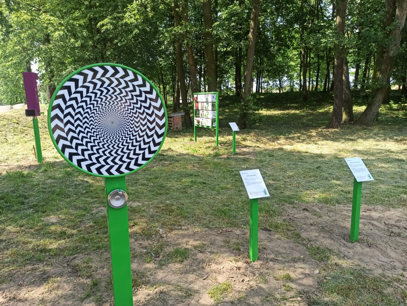 Teren obok pumptracku pięknieje. Pojawiły się…