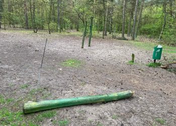 Zniszczenia w lasku. Komu to przeszkadzało?