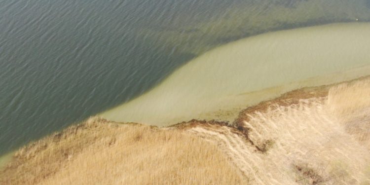 Zamkną Jezioro Powidzkie? Znamy najnowsze ustalenia