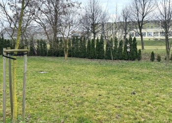 Nasilą się problemy z parkowaniem na Wojska Polskiego?