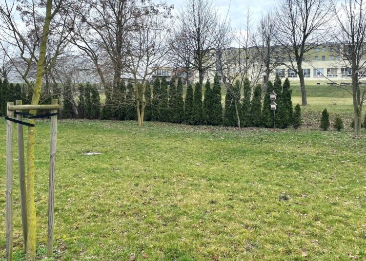 Nasilą się problemy z parkowaniem na Wojska Polskiego?