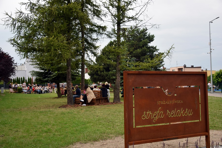 Orkiestra zagrała w Strefie Relaksu. Zobacz zdjęcia i film