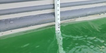 IMGW informuje: w Jeziorze Powidzkim padł rekord