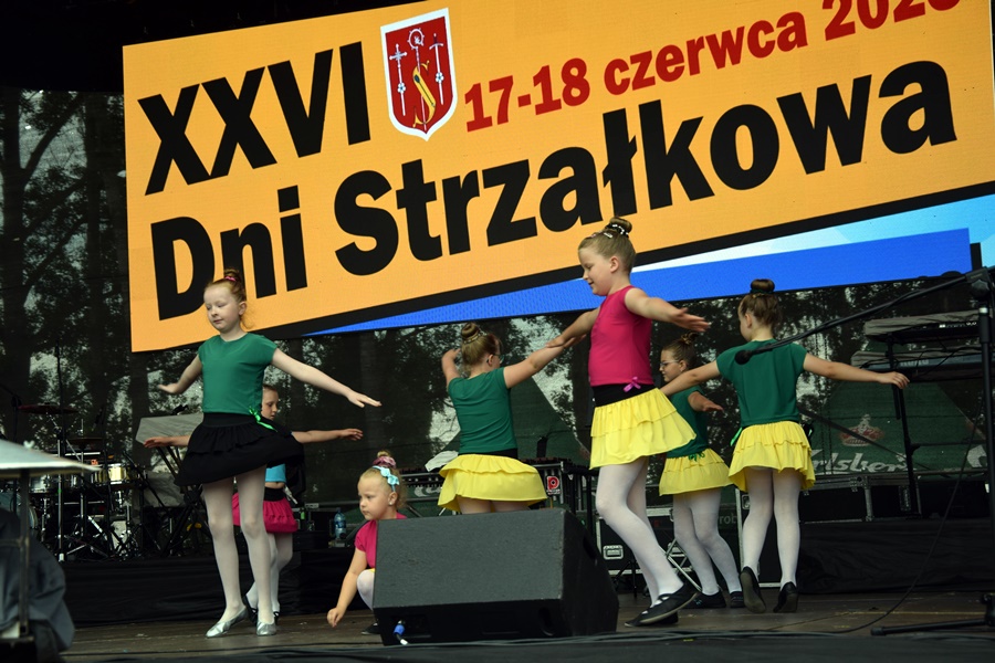 Tłumy na Dniach Strzałkowa. Kultowa impreza powróciła po przerwie ZDJĘCIA