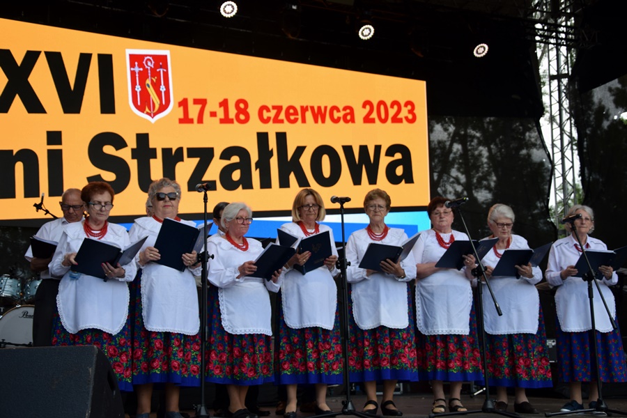 Tłumy na Dniach Strzałkowa. Kultowa impreza powróciła po przerwie ZDJĘCIA