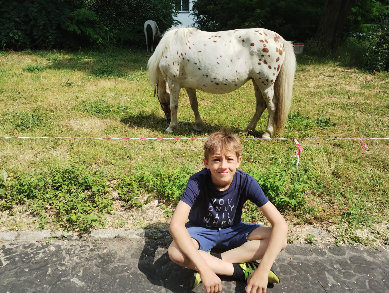 Piknik w Szansie. Zobacz zdjęcia