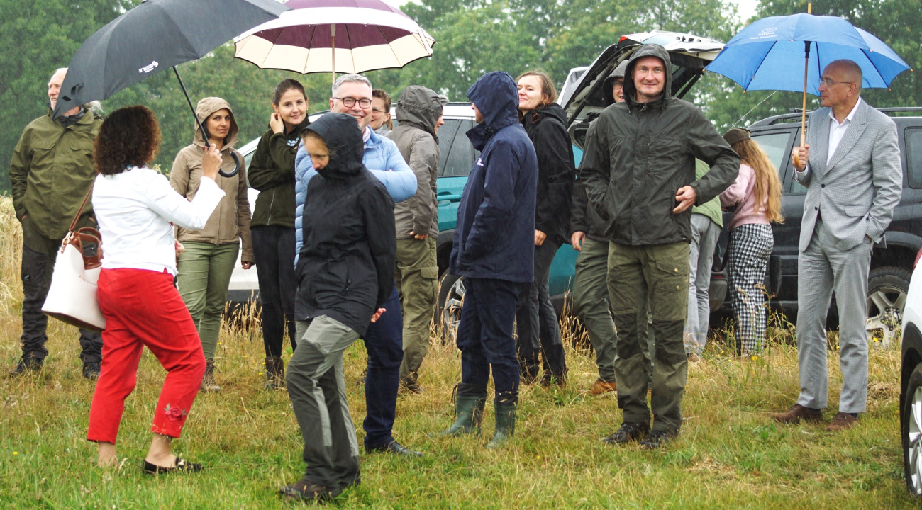 Odchowane w sztucznych warunkach, wypuszczone na wolność