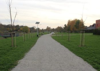 Chcą ograniczyć koszenie w mieście. Zbierają podpisy