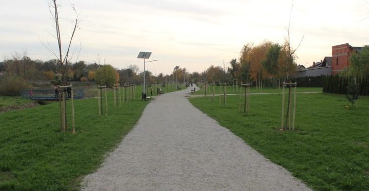 Chcą ograniczyć koszenie w mieście. Zbierają podpisy