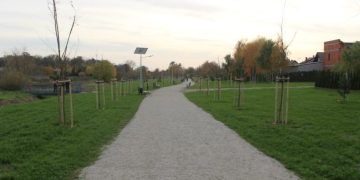 Kosić czy nie kosić? Oto jest pytanie