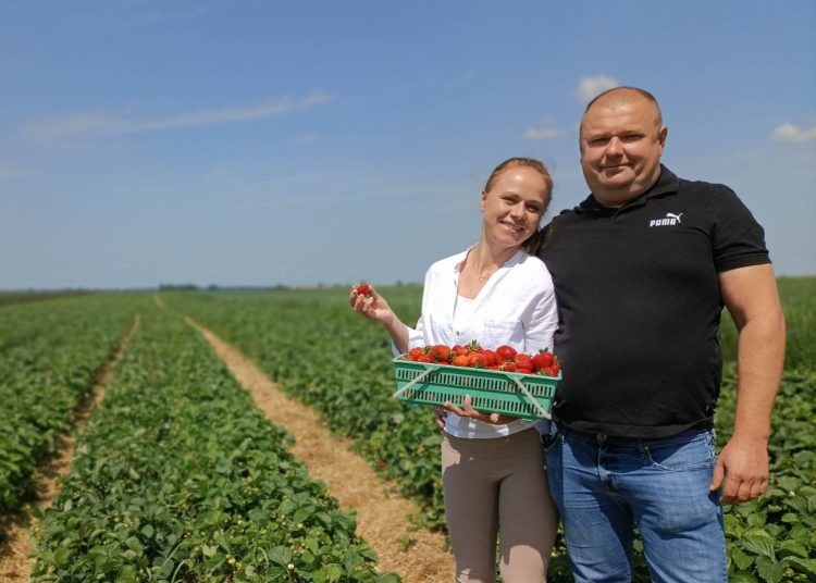 Tego nie wiesz o truskawce. Czyli jak stała się sposobem na życie…