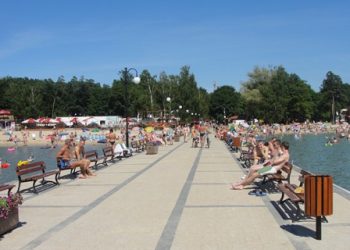 Kolejne przypadki ptasiej grypy