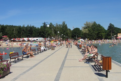 Kolejne przypadki ptasiej grypy