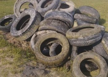 Opony na dnie jeziora. Morsy apelują