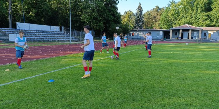 Pelikan zdobył Gajową