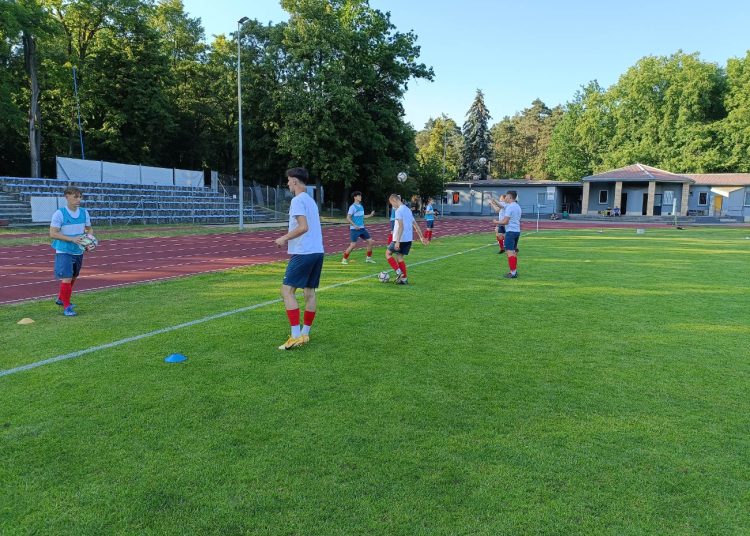 Pelikan zdobył Gajową