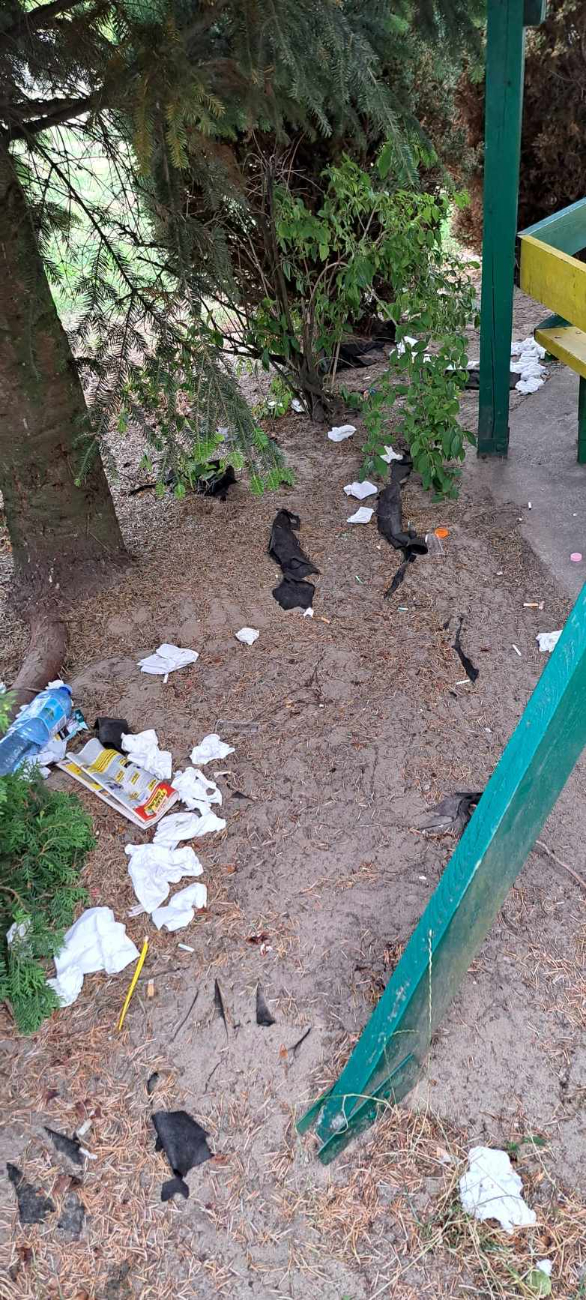 Zaśmiecanie, próby podpalenia. Wandalizm na terenie przedszkola