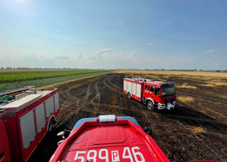 Pali się zboże. Strażacy w akcji