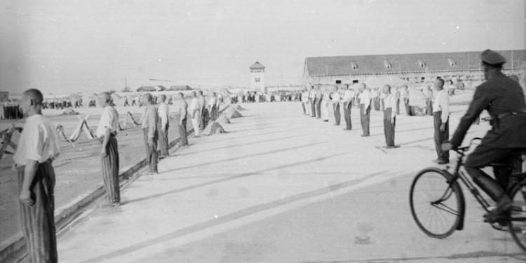 Wywieziono ich z obozu i stracono w Austrii. Stowarzyszenie poszukuje rodzin słupczan