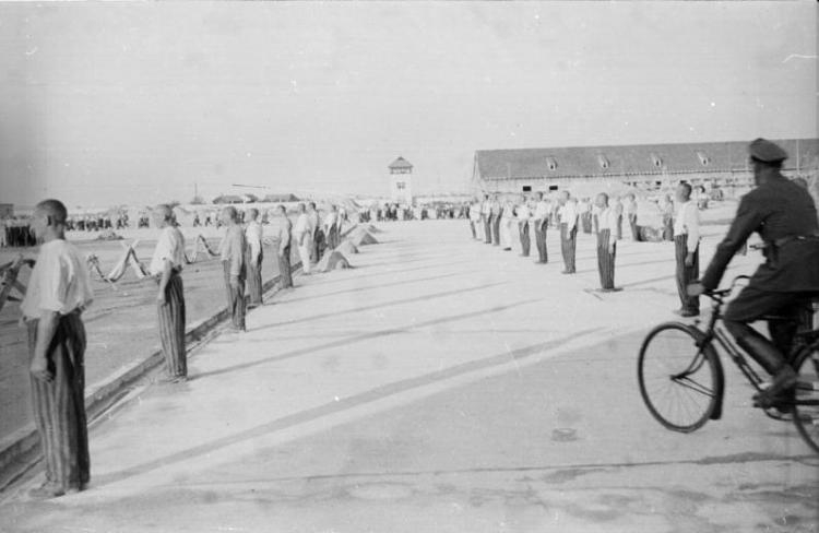 Wywieziono ich z obozu i stracono w Austrii. Stowarzyszenie poszukuje rodzin słupczan