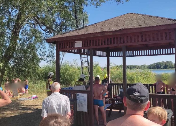 Nietypowa akcja na plaży w Powidzu. Strażacy ratowali…
