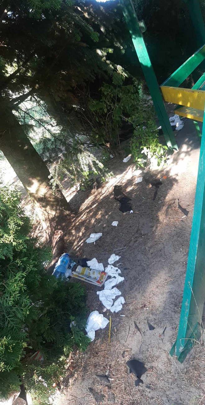 Zaśmiecanie, próby podpalenia. Wandalizm na terenie przedszkola