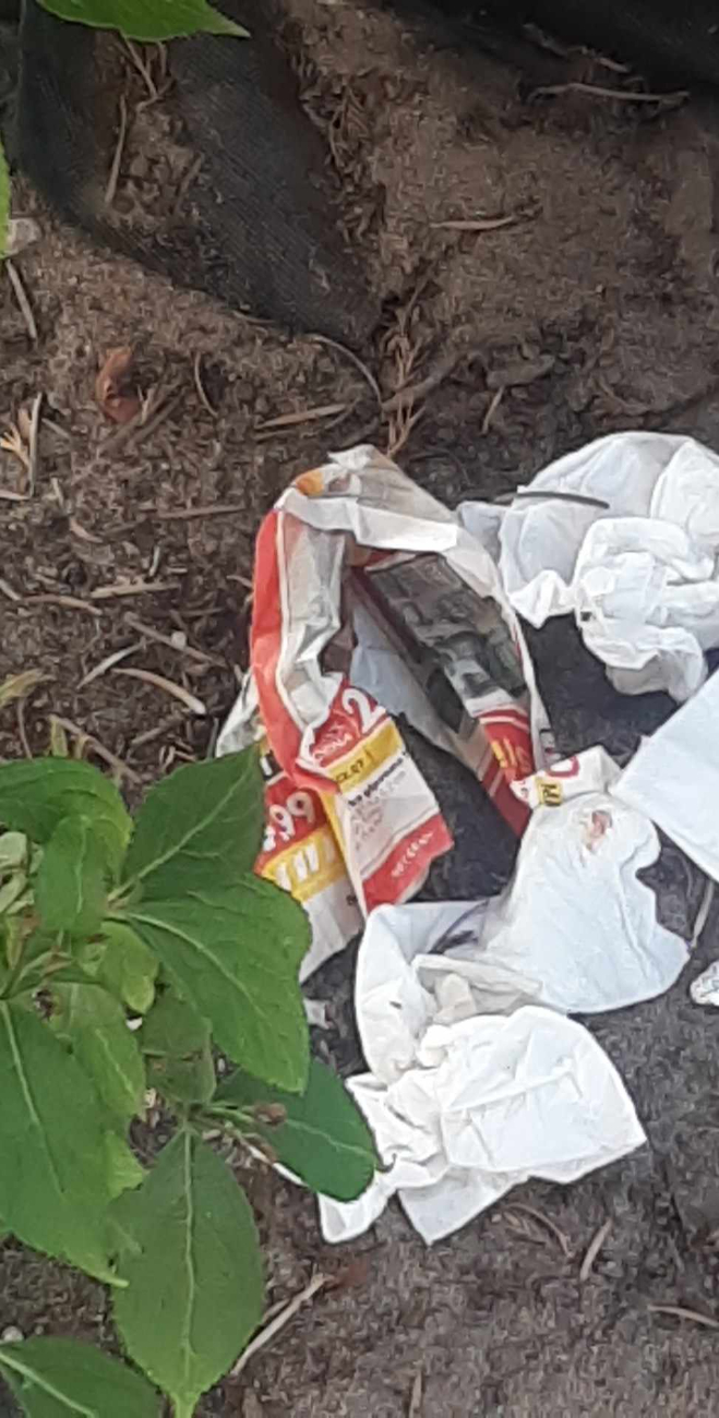 Zaśmiecanie, próby podpalenia. Wandalizm na terenie przedszkola